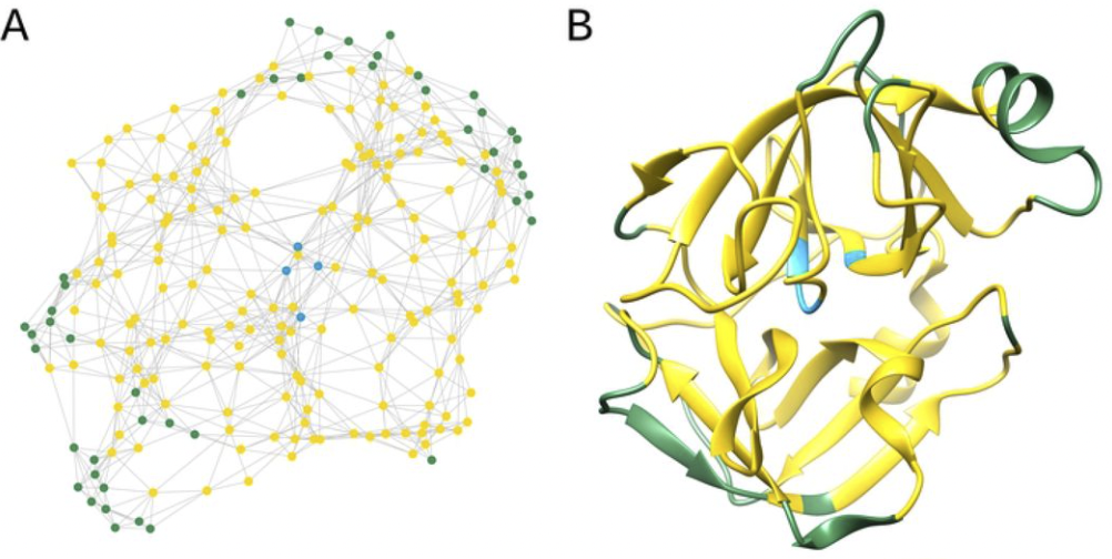 biological-structure.png